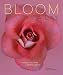 A Bloom a Day: A Fortune-Telling Birthday Book by Billie Lythberg, Sian Northfield