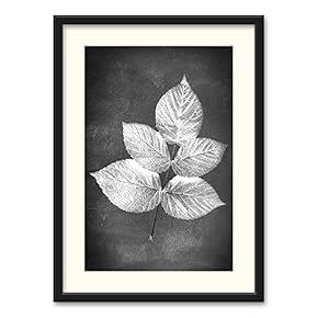 Black Paper Framed Canvas Wall Art...