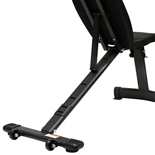 [- DTX Fitness Folding Weight Bench - Black  -]