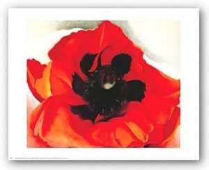 Diseño de chica y amapolas de Georgia O ' Keeffe Póster: Amazon.es: Hogar