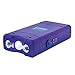 Terminator Maximum Power Mini Stun Gun - Rechargeable with LED Flashlight