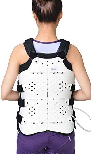 WRQ Breathable Back Support and Lumbar Lower Back Brace Provides Back Pain Relief - Keep Your Spine Safe and Adjustable Belt Fixed Support Health Rehabilitation, (One Size)