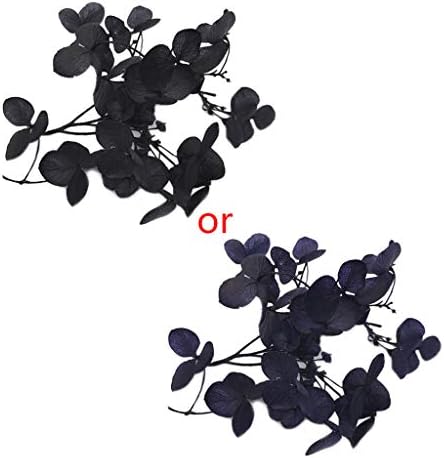 Hothap 1 Box Dry Flower DIY Epoxy Resin Craft Handmade Filler Dried Flowers Time Stone Jewellery Making Desk Decoration Ashtray Pen Holder Multifunctional, Dbl
