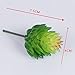 Robibabi Artificial Flower, Pack of 5 Assorted Artificial Echeveria Succulent Picks in Flocked Green and Green 4