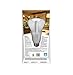 Philips 451906 100 Watt Equivalent A21 LED Light Bulb Soft White, Dimmable - 2 Pack