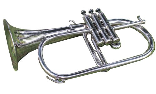 Queen Brass Flugelhorn Chrome Bb Pitch W Hardcase Mp Fluglehor Silver