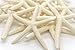 Nautical Crush Trading Starfish Decor - Real 4-5