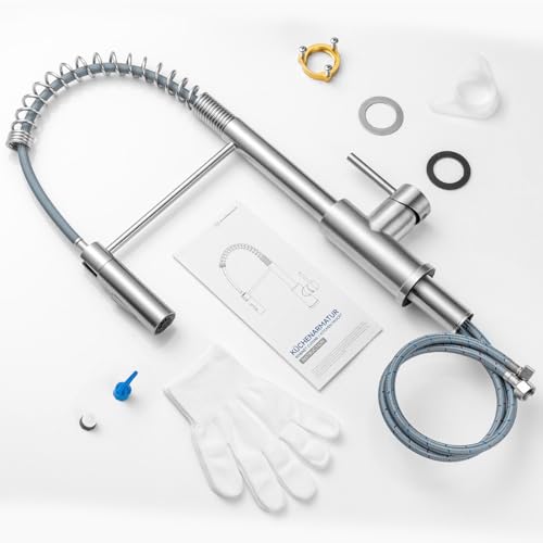 CECIPA Kitchen Sink Tap, Kitchen Mixer Tap with Pull-Out Shower, Kitchen Tap with Two Types of Water Jet, High Arc Kitchen Sink Mixer, Brushed Stainless Steel