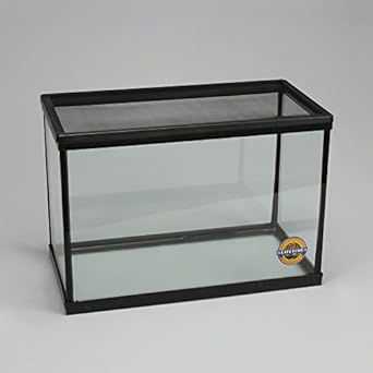 reptiles for 15 gallon tank