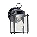 Sea Gull Lighting 8592-02 New Castle One-Light Outdoor Wall Lantern With Clear Glass Panels, Polished Brass Finish