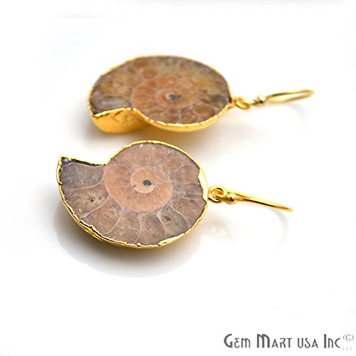 GemMartUSA Ammonite Dangle Earring, Hook Earrings,Gemstone Earrings, Dangle Earring (ANER-90011)