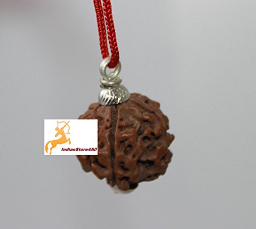 Indianstore4all 4 face rudraksha/ four face rudraksha pendant