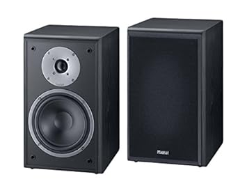 enceinte sono magnat