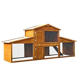 Pawhut Conejera de Madera Grande de 2 Niveles con Rampa Puertas con Cerradura y Zona Abierta Protegida 215x63x100 cm