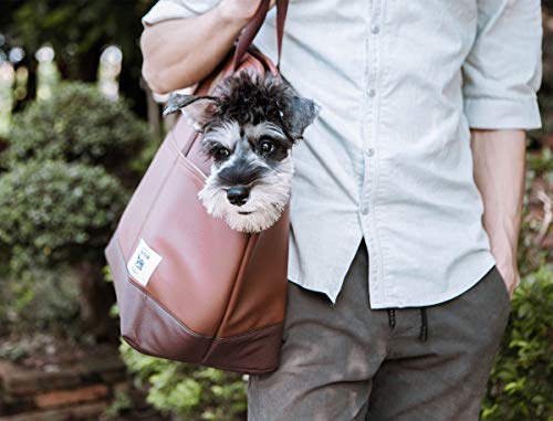 TAILFOUR Portable Travel Pet Carrier, Soft and Comfortable Sided Tote Carrier for Small Animals, Luxury PU Leather Travel Bag Ideal for Shopping, Outdoor Hiking, Walking with Doggy