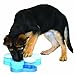 Company of Animals Nina Ottosson Dog Tornado Interactive Plastic Toy