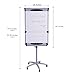 VIZ-PRO Dolphin Magnetic Mobile Whiteboard/Flipchart Easel, 28 X 40 Inches