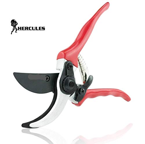 Hercules Garden Shears