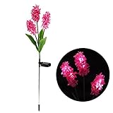 Samgo Outdoor Waterproof Solar Flower Battery Light Hyacinth for Garden