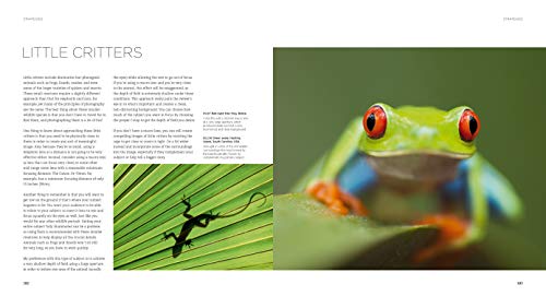 Wildlife Photography: An expert guide - Thumbnail 7