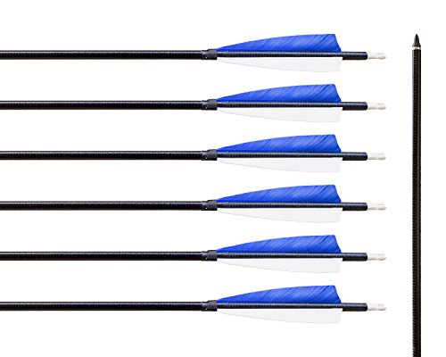 Archery sharly 31" Fiberglass Targeting Practice Arrows Fletching with 5'' Natural Feathers and Replacement Tips for Recurve and Long Bow (12 Pack)