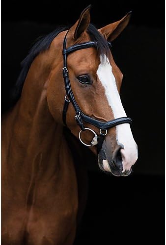Rambo Micklem Deluxe Competition Bridle