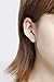 Angel Wings Jacket Cubic zircon Stud Earrings for Women And Girls Jewelry