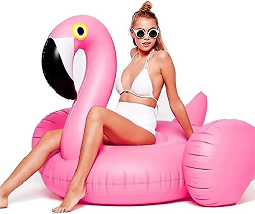 pink flamingo floatie