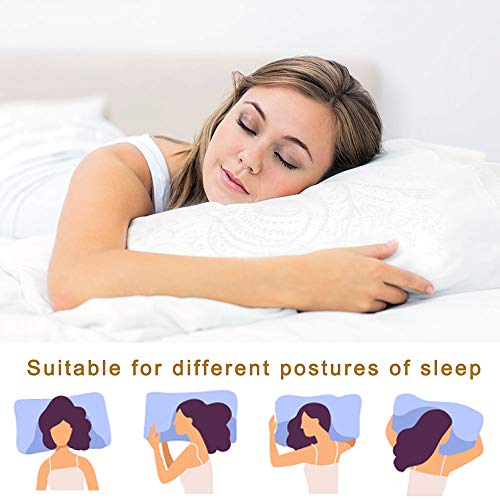 D & G THE DUCK AND GOOSE CO Ultra Soft & Slim Pillow (King 2 Pack