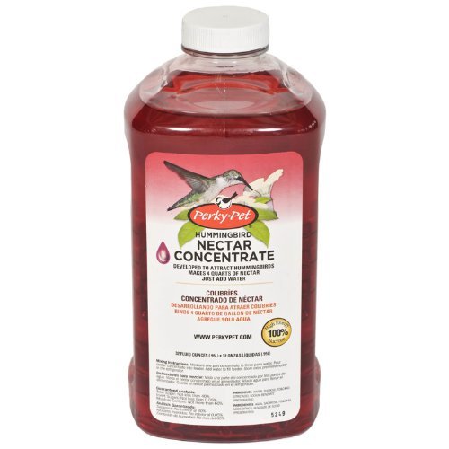 Photo 1 of Perky Pet 238 32 Oz Hummingbird Nectar Concentrate
