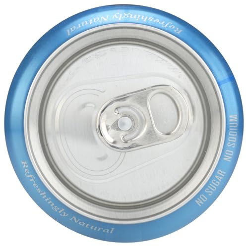 POLAR BEVERAGES ORIGINAL SELTZER, 12 FZ