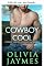 Livro Cowboy descolado (Associação Cowboy Justice Livro 5)