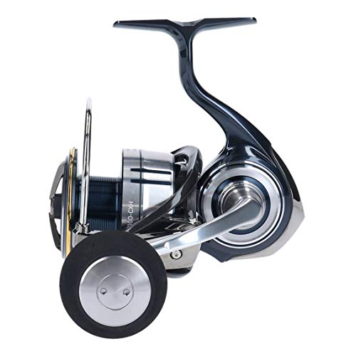 Daiwa 19 CERTATE LT5000D-CXH Spinning Reel New in Box | eBay
