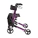 HealthSmart Walker Rollator with Seat and Backrest, FSA HSA Eligible, Adjustable Handle Height, Storage Bag and a Durable Lightweight Frame That Easily Folds While Supporting up to 300 pounds