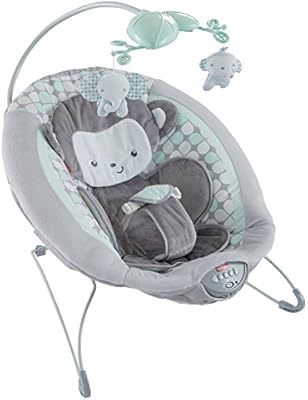graco dreamglider rascal