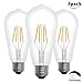 Santaro 4W 3pack Warm White Dimmable Edison Vintage LED Filament Bulb - Soft White Replace 20W Incandescent, E26 110V 80Ra LED Edison Style Retro ST64