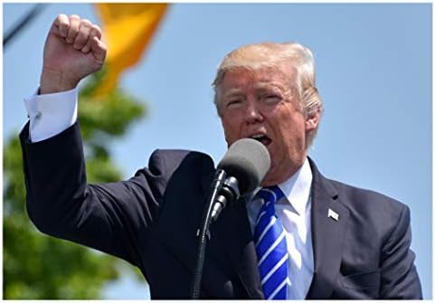 build a wall lego trump