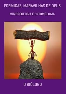 Livro Formigas, Maravilhas De Deus