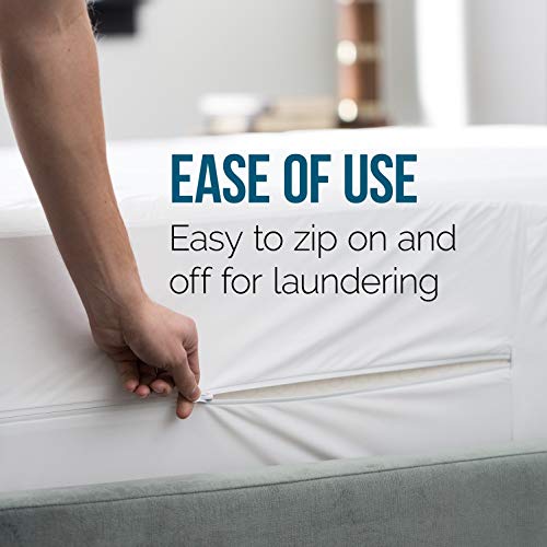 4 LUCID+Inch+Latex+Foam+Mattress