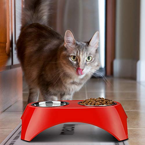 Flexzion Pet Feeder Bowls Double Stainless Steel (Set of 2) - Removable Raised Feeding Station Tray Dog Cat Puppies Animal Food Water Holder Container Dish Table Dinner Set with Elevated Stand (Red)