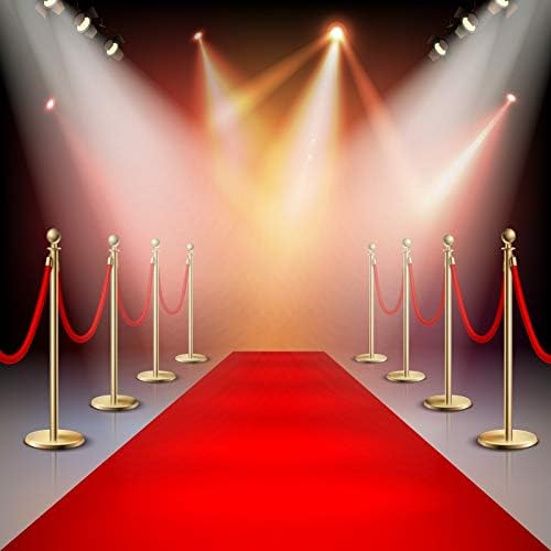 Baocicco 10x10ft Vinyl Stage Light Red Carpet Backdrop