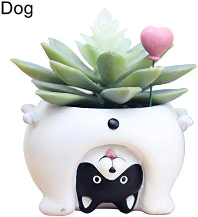 yongqxxkj Exquisite Cute Cat Pig Dog Succulent Plant Container Resin Flower Pot Bonsai Ornament - Dog#