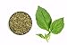 McCormick Gourmet 100% Organic Oregano-2.5 oz