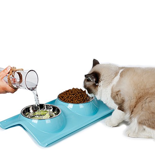 Chic Peach Stainless Steel Double Cat Bowl Dog Kitties Pet