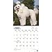 2017 Monthly Wall Calendar - Toy and Miniature Poodles