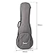 28 Inch Ukulele Case Gig Bag For Baritone or Bass Ukelele Instrument With 3 Uke Picks