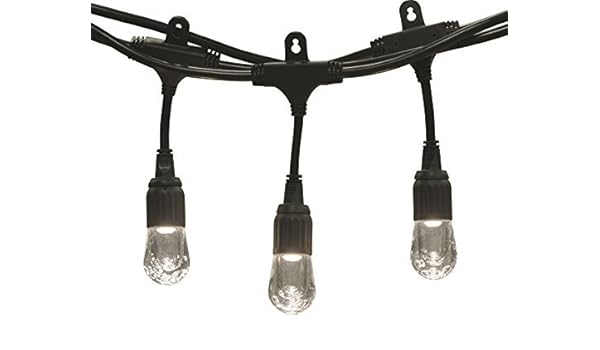 Amazon Com Enbrighten Caf Led String Lights 12 Ft 6 Lifetime