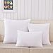 Pal Fabric Square Sham Pillow Insert 18