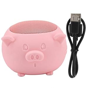 Ingebouwde microfoon Stereo Bluetooth-luidspreker Bluetooth-luidspreker met lange batterijduur voor IPads(Pink)