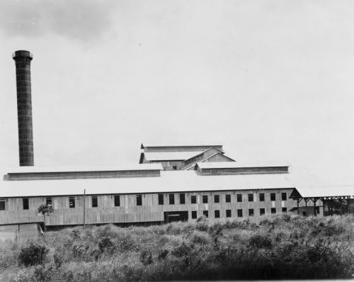 Amazon Com Early 1900s Photo Calamba Sugar Factory Laguna